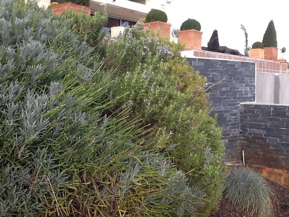 Bed & Breakfast La Villa Blanche Marseille