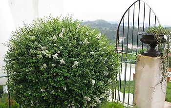 Frühstückspension La Villa Blanche Marseilles